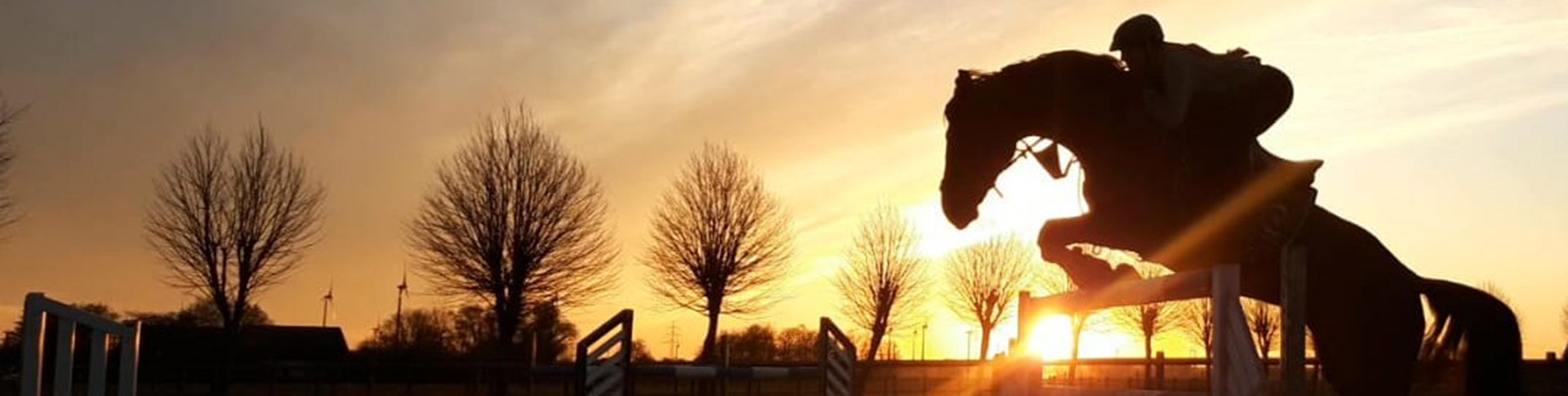 Pferdesprung Sonnenuntergang